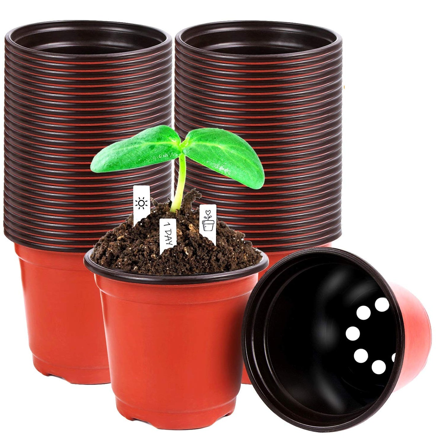 Augshy 220 Pcs 4 Inch Plastic Plant Nursery Pots Seed Starting Pots Containers with 300 Labels for Succulent Seedling Cutting Transplanting