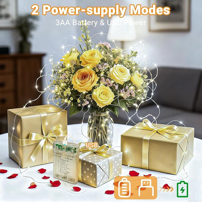 litogo 6 Pack Fairy Lights Battery Operated with Timer, 33FT 100LED Twinkle String Lights USB-C Powered 8 Modes Dimmable for Indoor Bedroom Centerpiece Wedding Classroom Dorm Christmas Decorations
