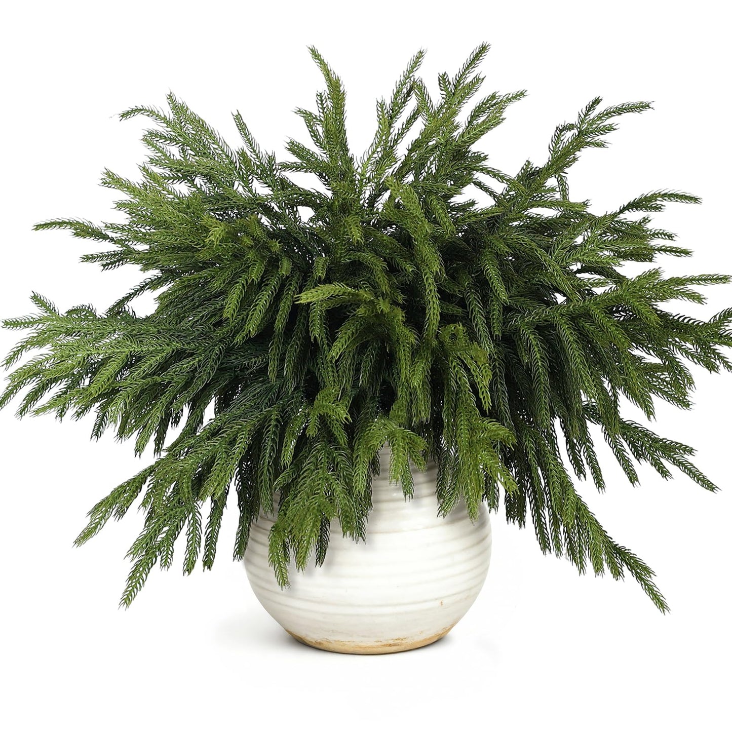 20 Pcs Christmas Norfolk Pine Branches -18" Real Touch Artificial Norfolk Pine Branch Faux Plants Stem Fake Greenery Pine Picks for Vase DIY Crafts Garland Wreath Home Indoor Outdoor Decoration