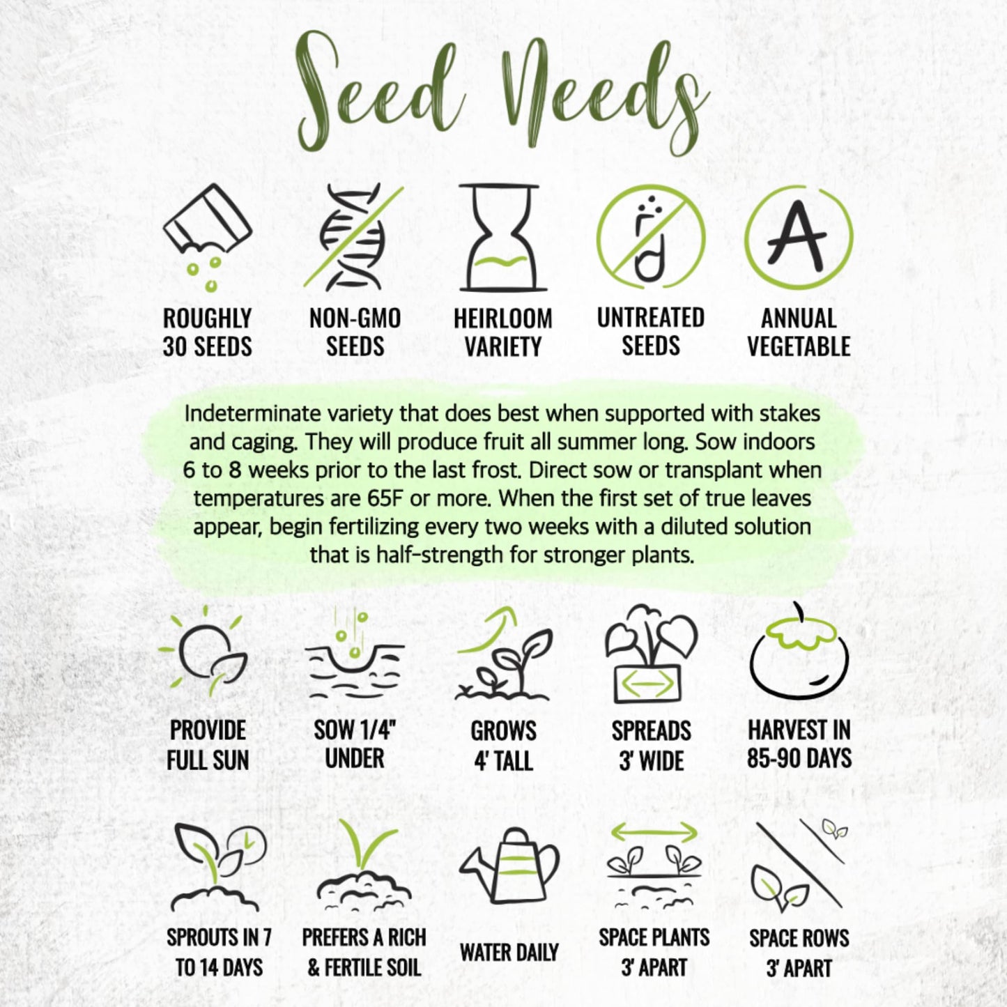 Seed Needs Tomato Seeds for Planting Indeterminate True Beefsteak Tomatoes - Non-GMO Heirloom & Untreated Vegetable Seed to Plant a Home Grown Outdoor Veggie Garden (5 Packs)