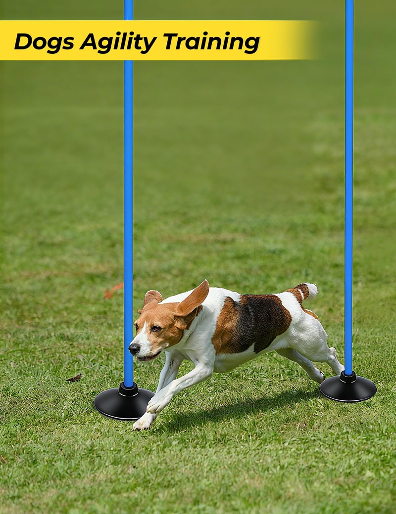 SEAOTTER Soccer Agility Poles Set, 4 Pcs 6FT Adjustable Sports Trainning Speed Poles Slalom Poles with Rubber Base, Agility Training Equipment for Football, Rugby, Basketball, Indoor & Outdoor