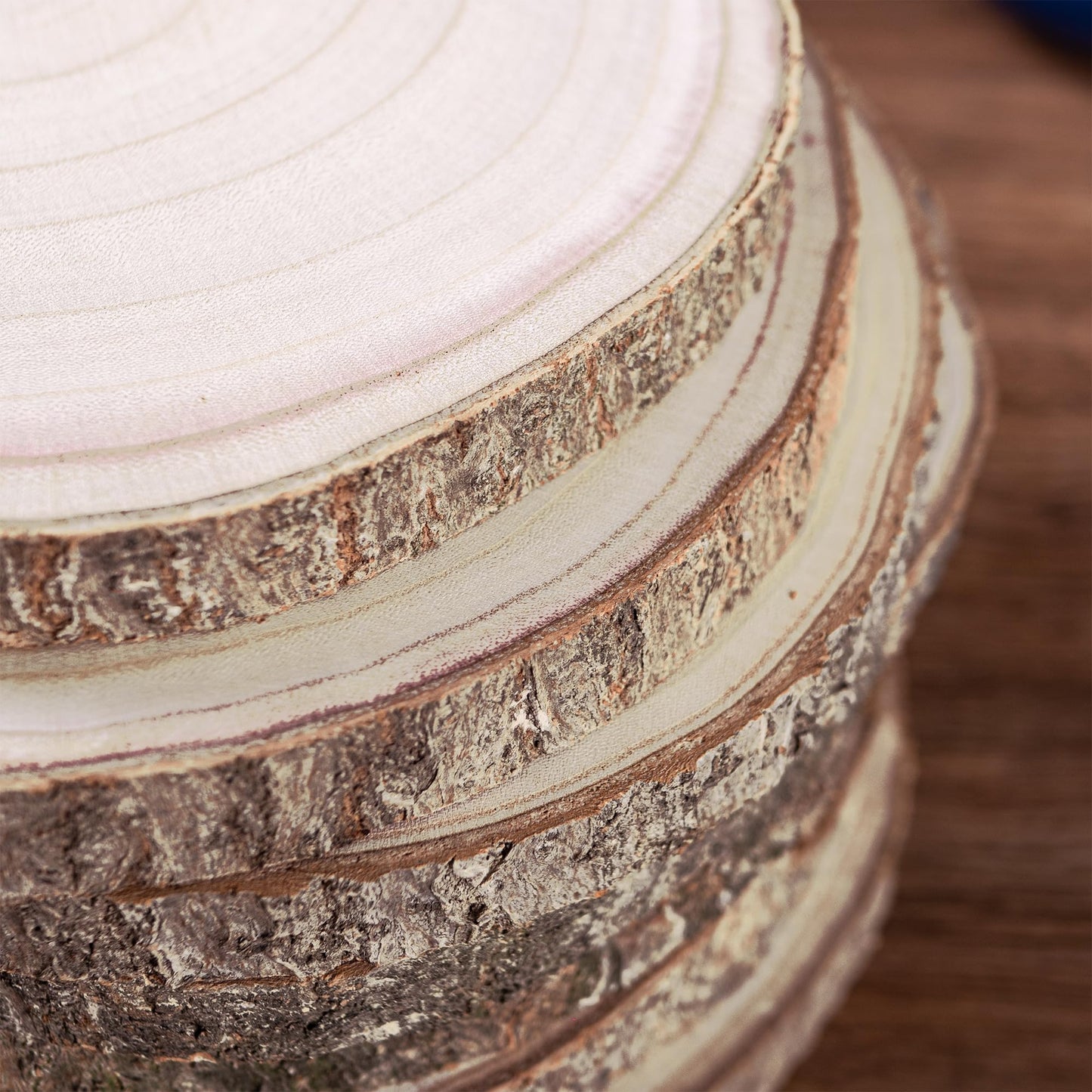 10 Pcs Natural Paulownia Wood Slices 6-7 Inches,Wood Slices for Centerpieces Table Decorations,Unfinished Rounds Wood for Crafts,Wood Slice for Rustic Wedding Decoration Projects