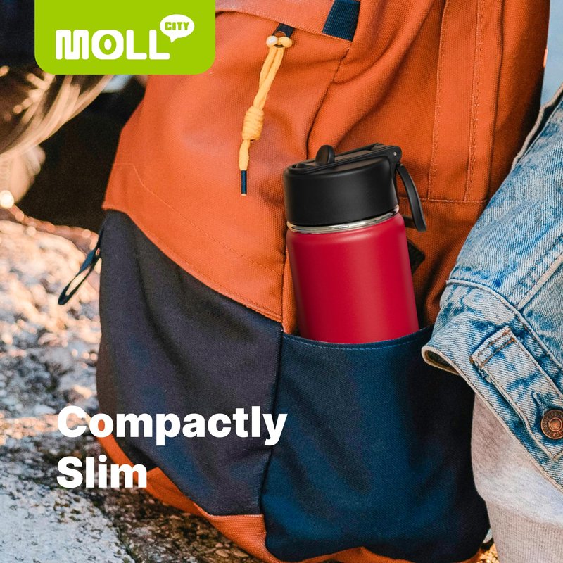 Mollcity 12 oz Water Bottle for Kids-Small Insulated Water Bottle with Straw-Stainless Steel Double Wall Vacuum Sports Water Bottles for School (Purple)