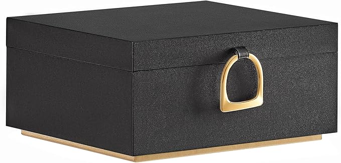SONGMICS 2-Layer Jewelry Box, Jewelry Organizer with Handle, Removable Jewelry Tray, Jewelry Storage, Floating Effect, 8.1 x 9.4 x 4.3 Inches, Gift Idea, Black UJBC165B01