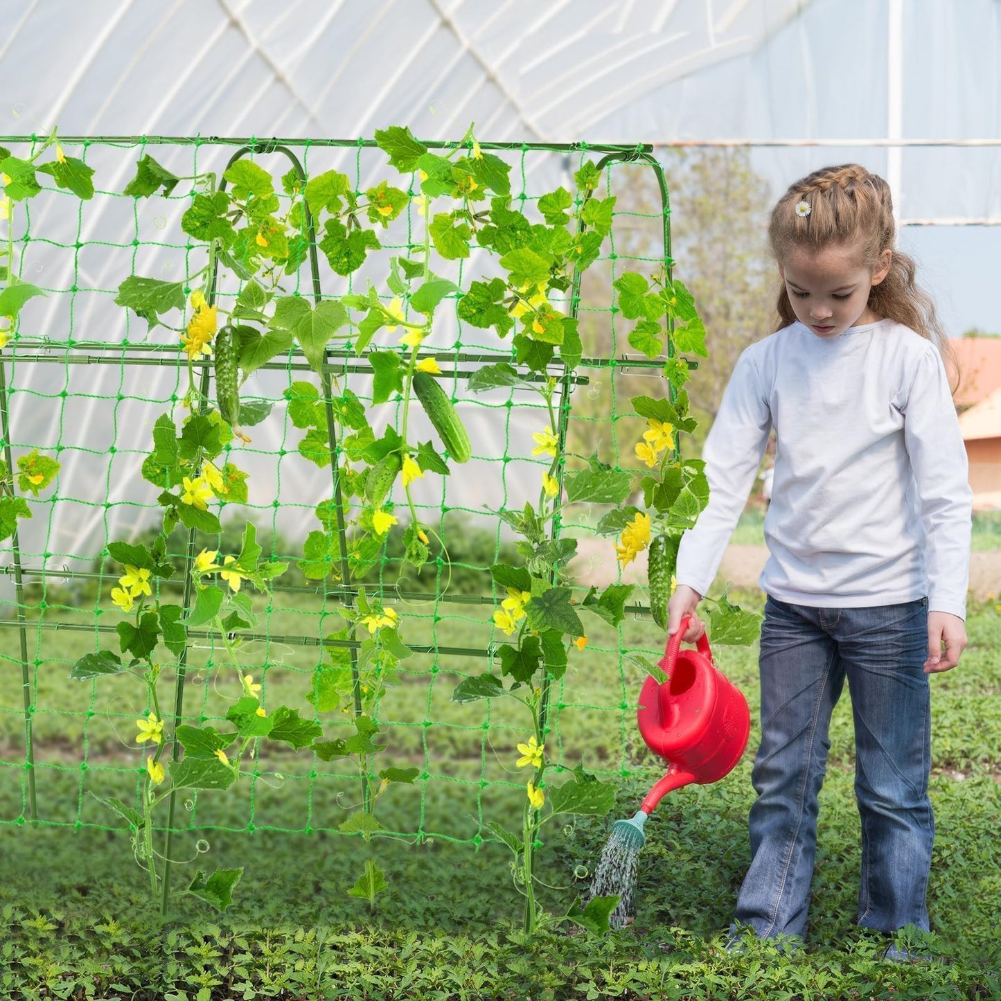 FOLLOOK Garden Cucumber Trellis for Climbing Plants Outdoor, 48x48inch U-Shape Arch Trellis for Garden Raised Bed, Plant Support for Grape Vine Tomato Vegetable Pea Bean, Green