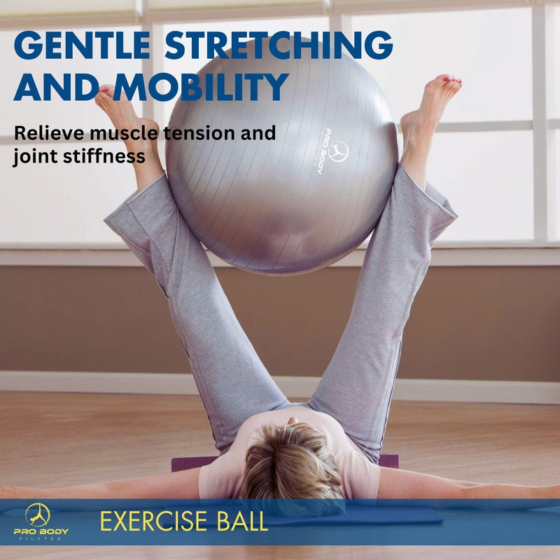ProBody Pilates Exercise Ball - Multiple Sizes Gym Grade Balance Ball for Fitness, Workout, Pregnancy & Physical Therapy, Stability Yoga Ball Chair (Aqua, 65 cm)