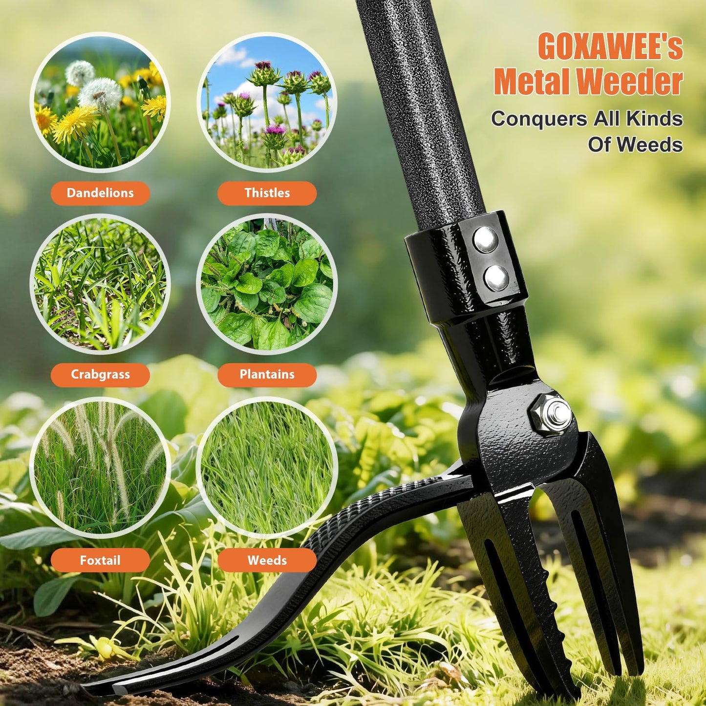 GOXAWEE Metal Stand Up Weed Puller Tool - 45" Garden Weeding Tool with Steel Long Handle & 4-Claw Steel Head - Effortlessly Remove Weeds Without Bending/Kneeling - All Steel Construction