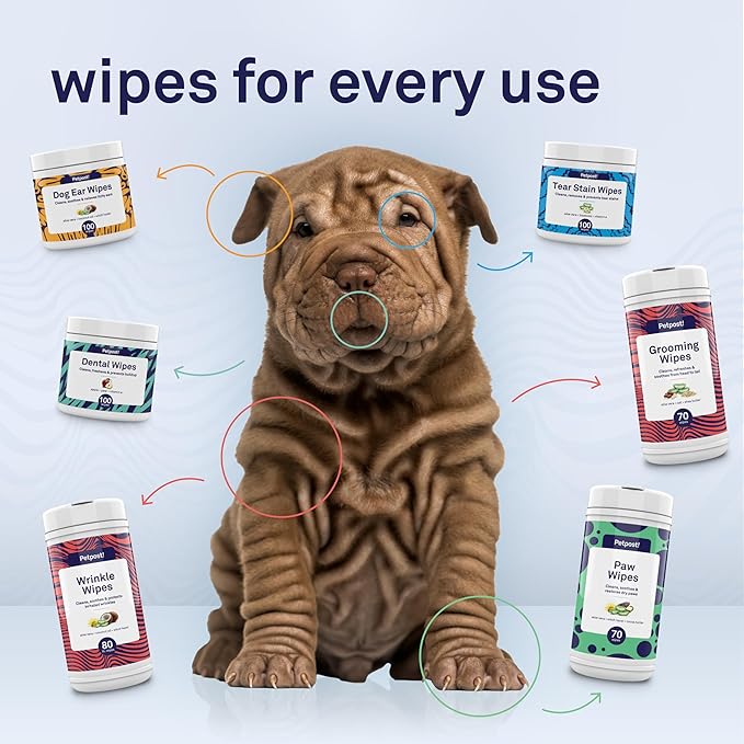 Petpost Large Grooming Wipes for Dogs | 70 Count Deodorizing Dog Cleaning Wipes with Coconut Extract & Aloe | Gentle Pet Wipes with Cherry Blossom Scent for Full-Body Grooming