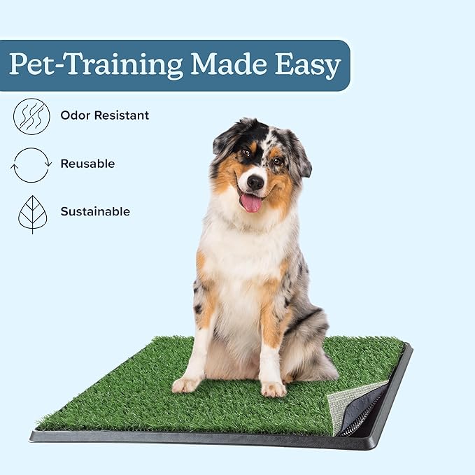 Artificial Grass Puppy Pee Pad for Dogs and Small Pets - 20x25 Reusable 4-Layer Training Potty Pad with Tray - Dog House and Pet Supplies by PETMAKER