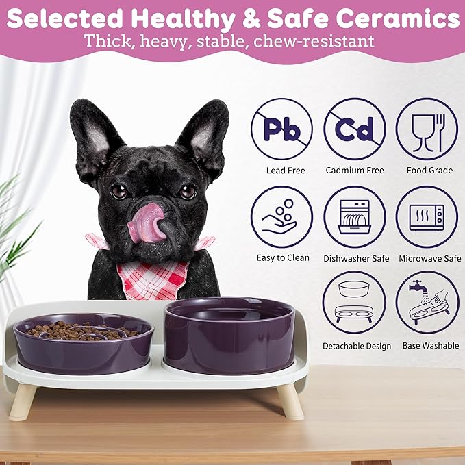 Elevated Slow Feeder Dog Bowls - Ceramic Food and Water Bowl Set with Stand - Raised Pet Dishes for Small and Medium Sized Dogs