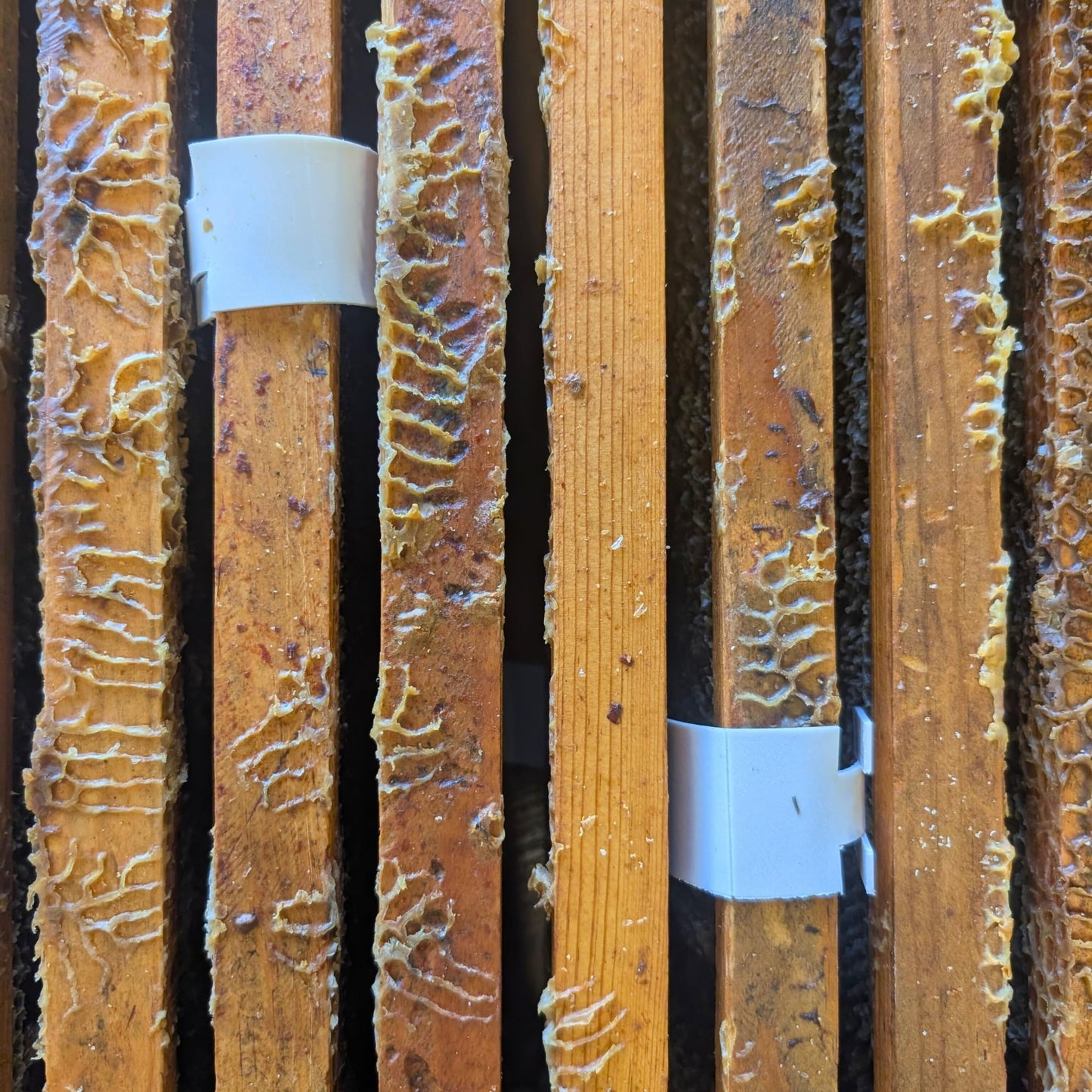 Apivar® 2.0 New Formula - Less Amitraz - Faster Varroa Mite Drop - Mite Treatment for Honey Bees, Strips Fit Langstroth, Dadant & More, No Withholding Period - (4 Packs)