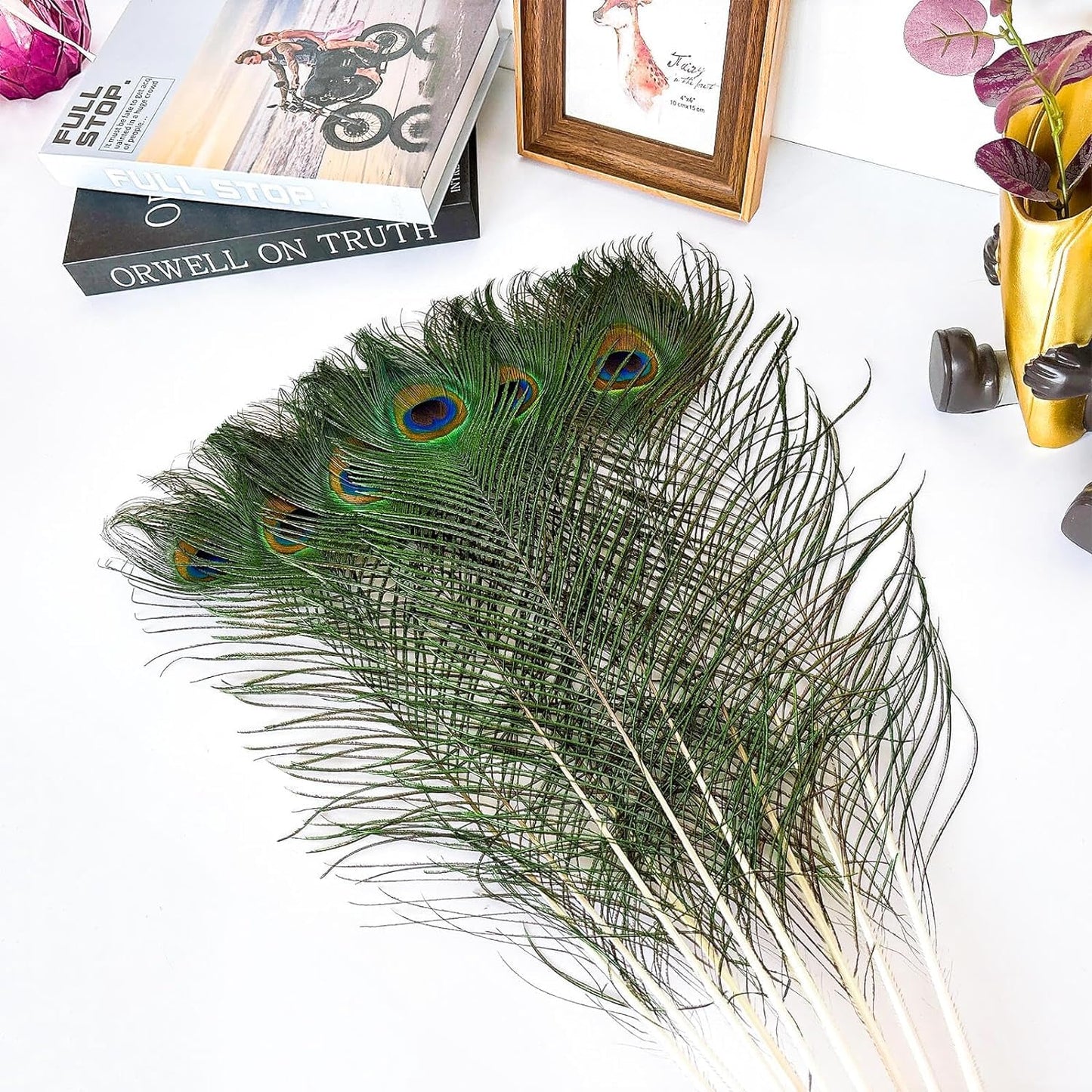 Piokio 50 pcs Natural Peacock Feathers in Bulk 19-22inch (58-68 cm) Bulk for DIY Craft, Wedding, Decoration