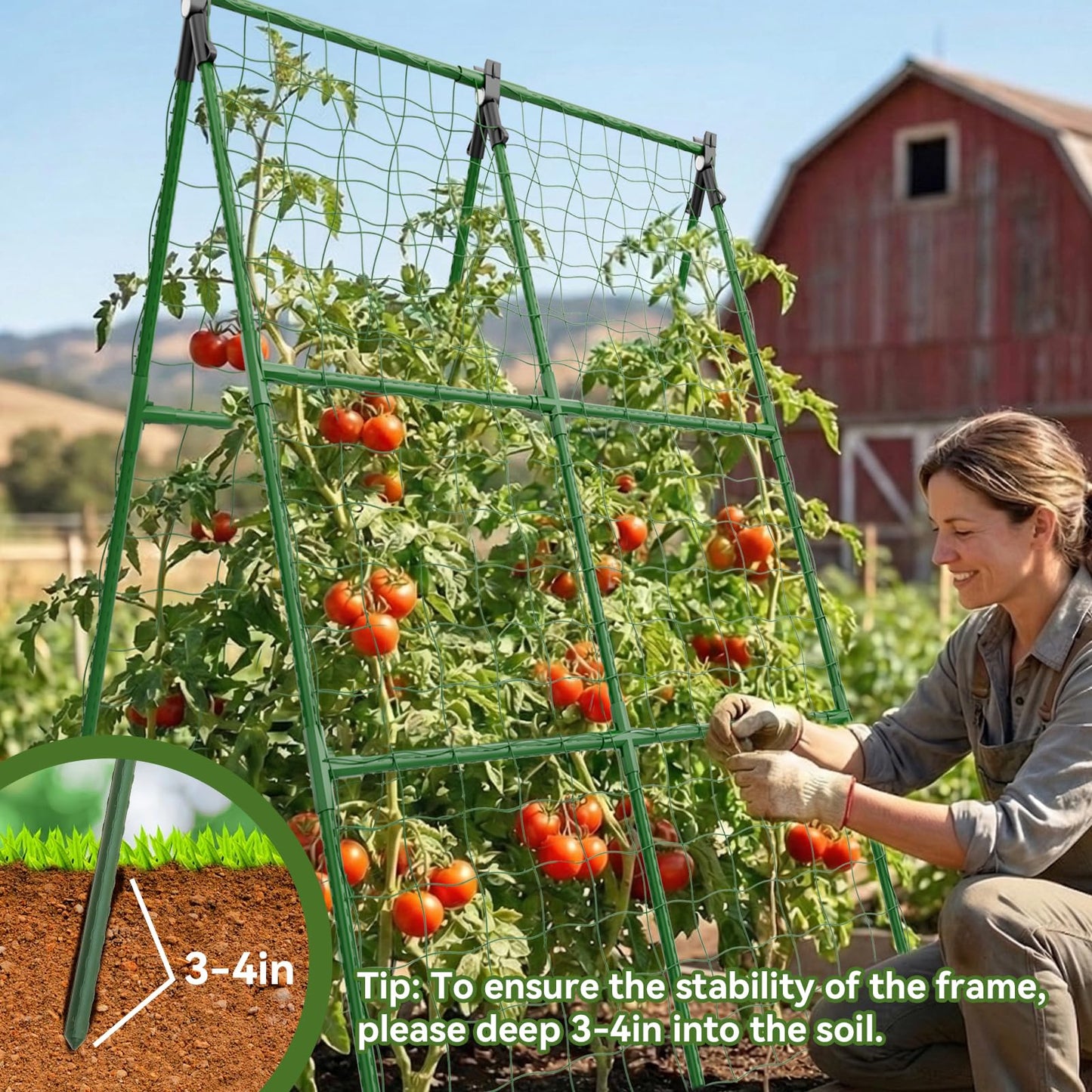 2 Pack Cucumber Trellis, 34"×48" Garden Trellis for Climbing Plants Outdoor, A-Frame Vegetable Trellis for Raised Bed, Support for Tomatoes, Squash, Zucchini, Vegetables & Flowers