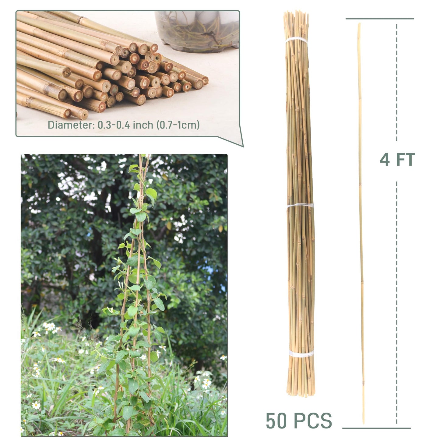 50Pcs / 4ft Bamboo Plant Stakes for Indoor Outdoor Plants, Garden Plant Support Sticks, Poles for Tomato Vegetables Beans Trees Potted Climbing Plants(0.32''-0.4'')