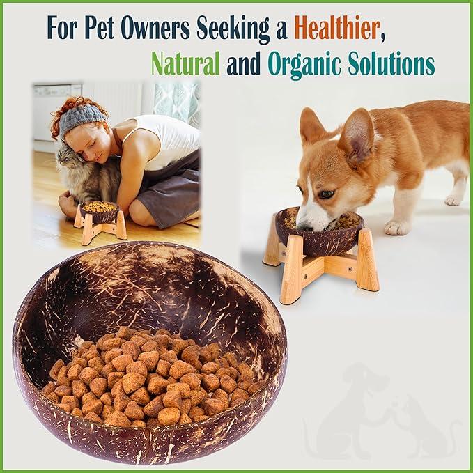 Dog Bowl for Cats and Small Dogs - All-Natural, Polished Coconut Shell Bowl with Wood Stand - Elevated/Raised 5-inch Total Height - Food-Contact Suitable