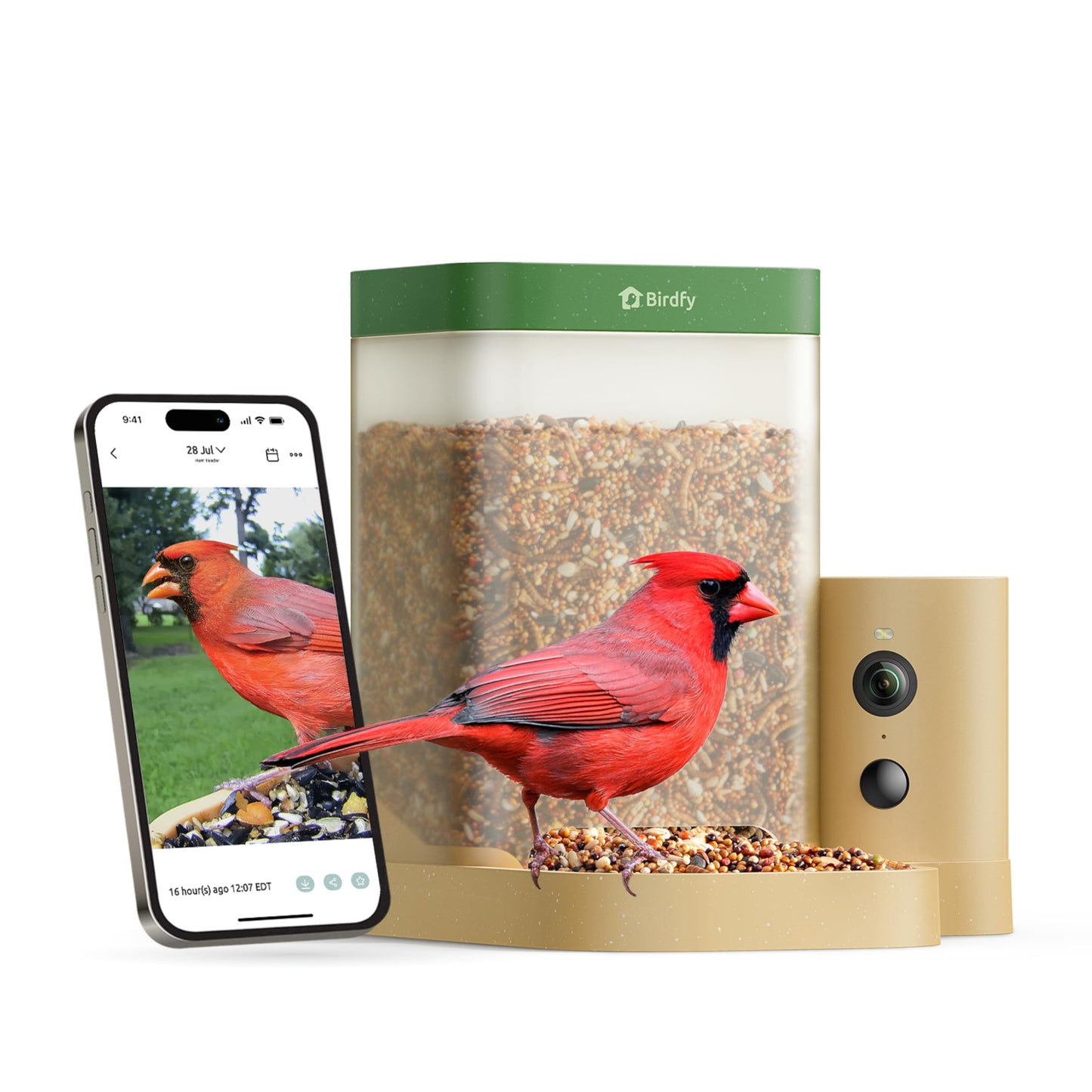 Birdfy Smart Bird Feeder with Camera for Rookie, Camera Bird Feeder Dual Night Vision, AI Recognition IP66 Waterproof for BirdLovers, 1.3L Capacity