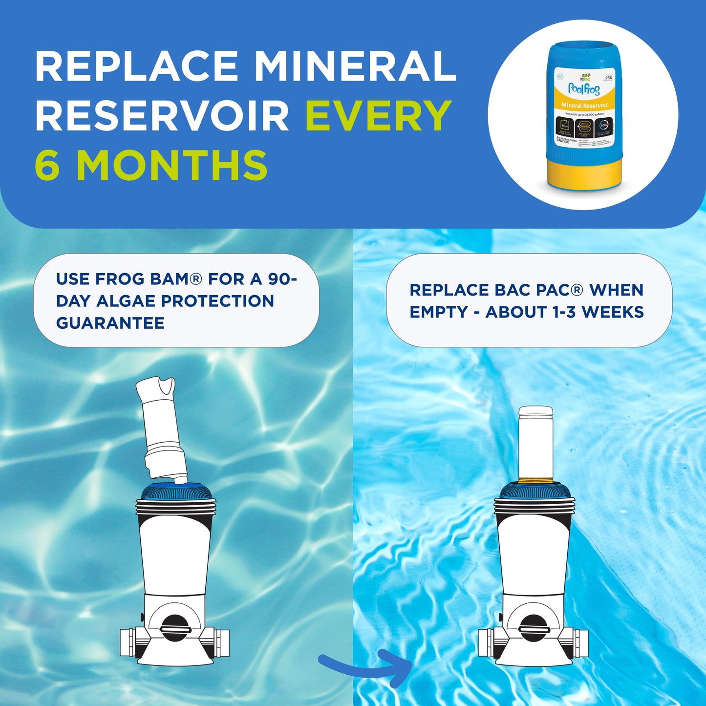 FROG Bac Pac Replacement Chlorine Cartridge for use with Pool FROG Model 5400 and 6100 Cyclers - Prefilled for Easy & Convenient Pool Sanitizing & Water Care - 1 Pack