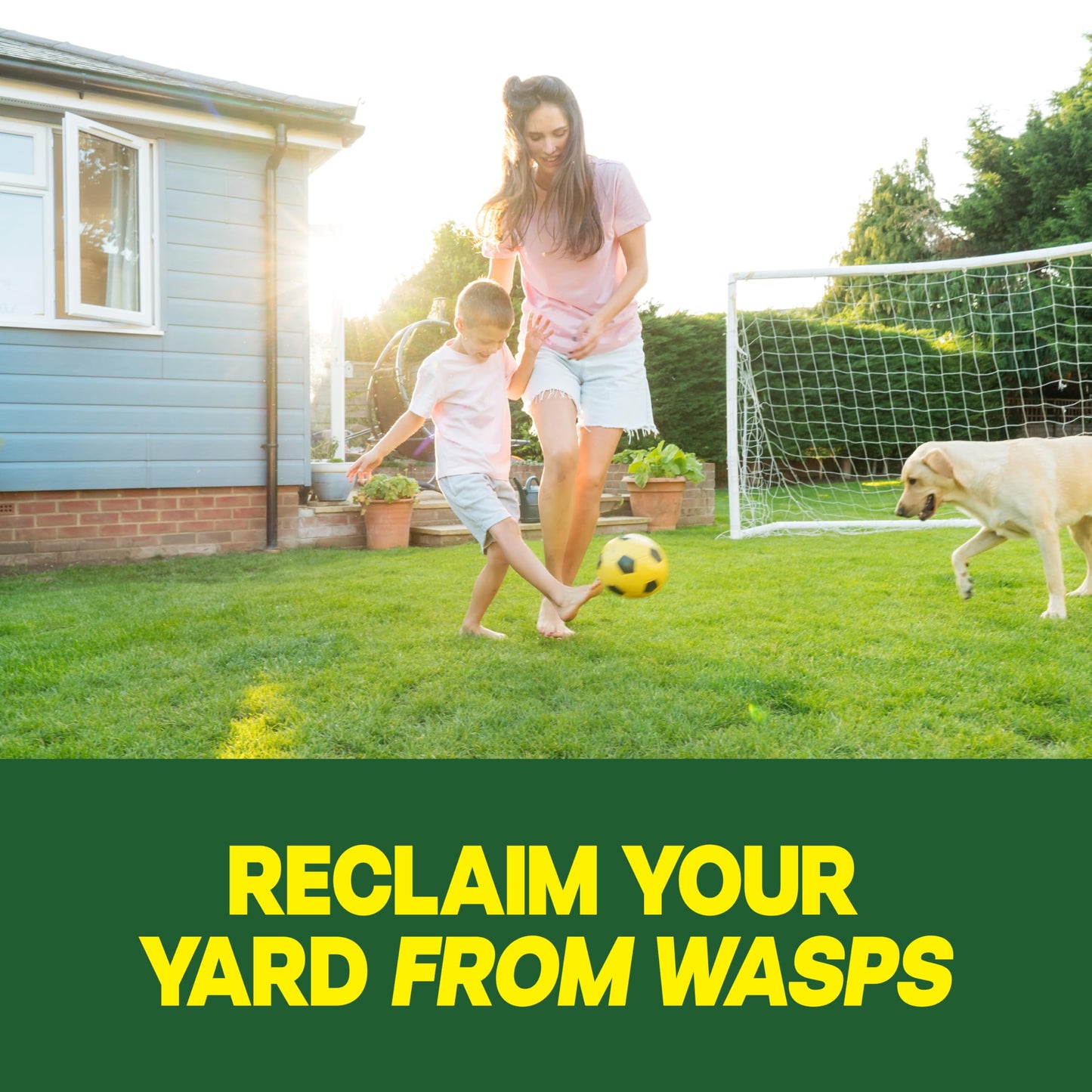 Raid Outdoor Wasp Ground Nest Killer, Dust Insecticide for Outside Household Use on Wasps, Fast-Working, Easy-to-Use and Odorless, 24 oz