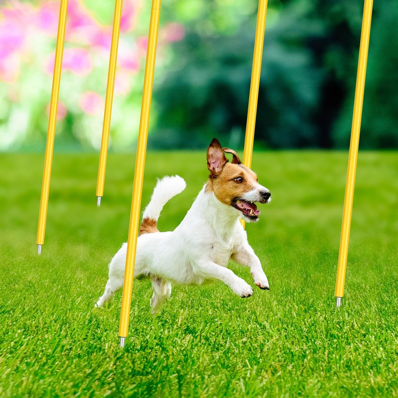 Blulu 10 Pcs 5/10/30pcs Training Agility Poles 5ft Adjustable Soccer Training Poles Soccer Sticks Agility Equipment for Football Sport Football Speed (Yellow)
