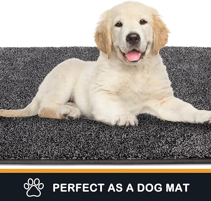 PURRUGS Dirt Trapping Door Mat 36" x 36", Non-Slip Machine Washable Entryway Rug, Dog Doormat, Indoor Front Door Mat, Super Absorbent Entry Rug for Muddy Shoes & Paws, Light Grey-Dark Grey