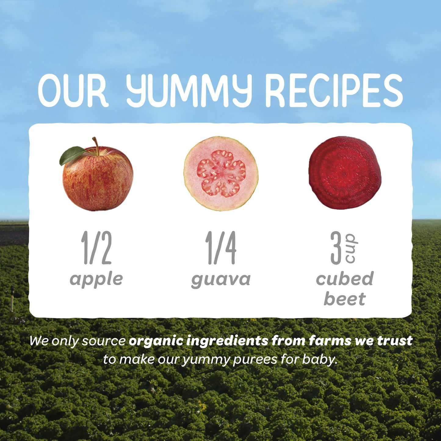 Happy Baby Organics Stage 2 Baby Food Pouches, Gluten Free, Vegan & Healthy Snack, Clearly Crafted Fruit & Veggie Puree, Apples, Guavas & Beets, 4 Ounces (Pack of 16)