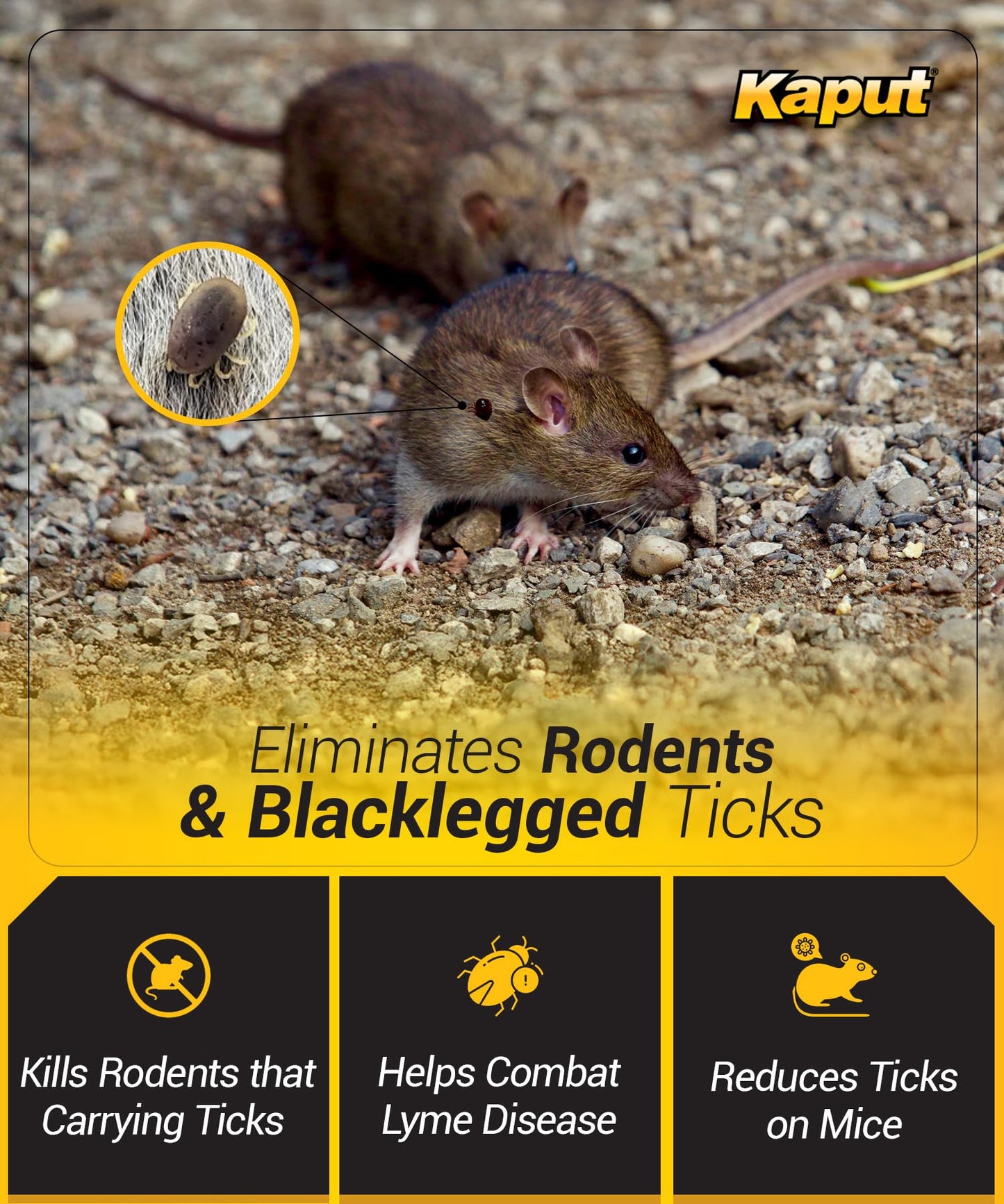 Kaput Rodent & Tick Bait Blocks, 4Lb - Powerful Warfarin & Fipronil Rat Bait Blocks for Rat Control and Their Blacklegged Ticks - Epa Approved Rodent Killer for Long-Lasting Protection