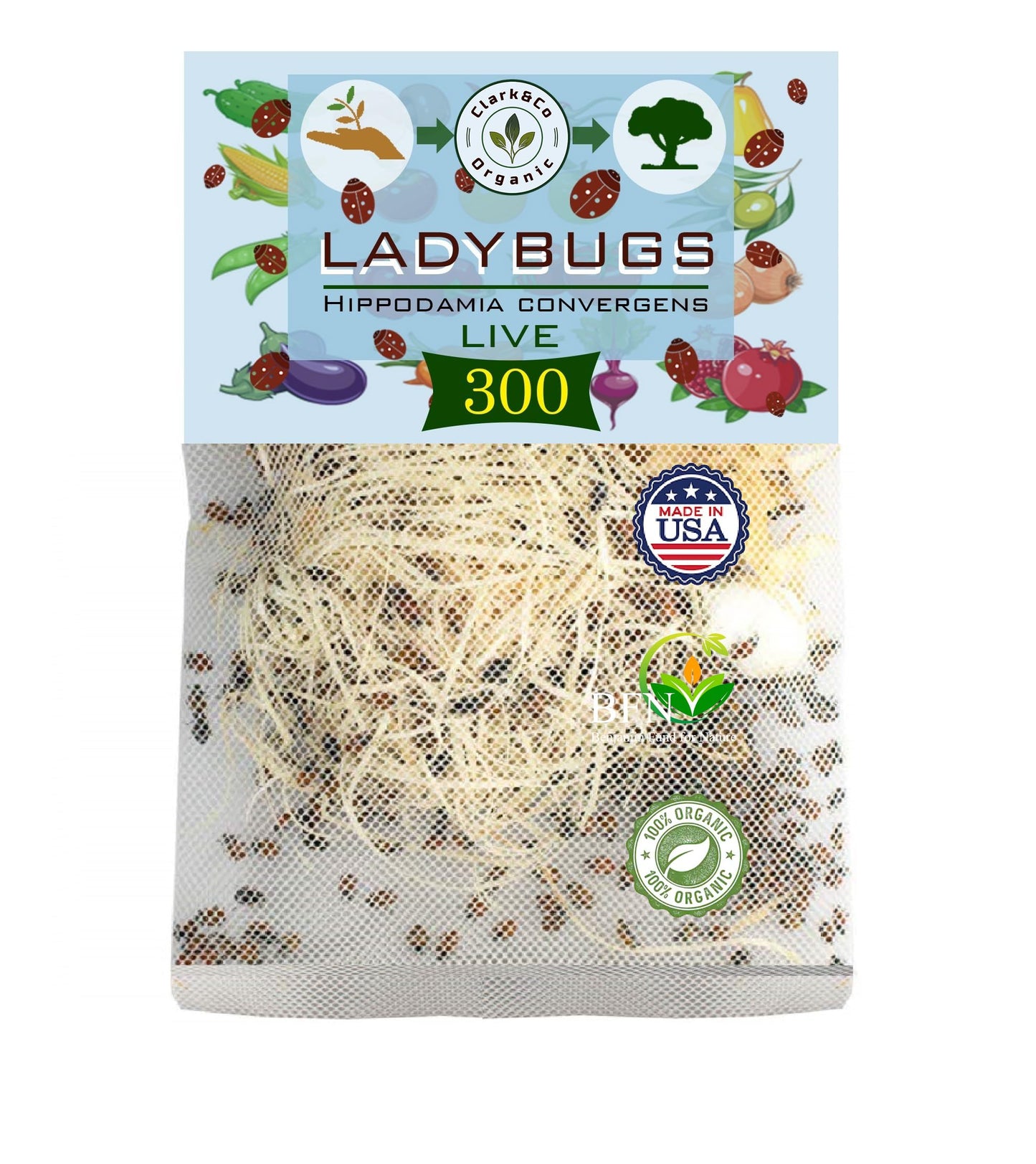 Live Ladybugs - Good Bugs for Garden - Hippodamia Convergens - Guaranteed Live Delivery!â¦ (Ladybugs, 300, Count)
