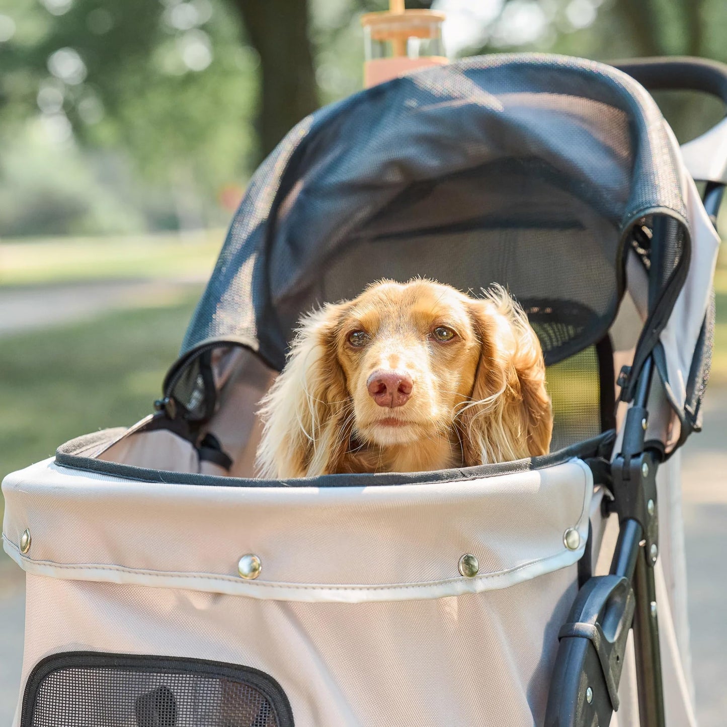 Carlson Pet Products Stroller, Includes 360 Degree Front Wheel Swivel, Rear Wheel Breaks, Reflective Trim, Mesh Panels, Umbrella and Mesh Canopy, Khaki