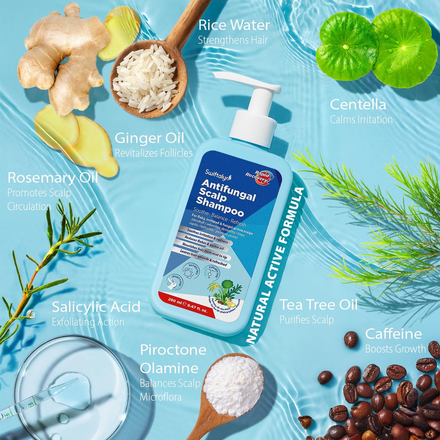 Swiftalyn Scalp Ance Shampoo for Men & Women – Sulfate-Free Formula