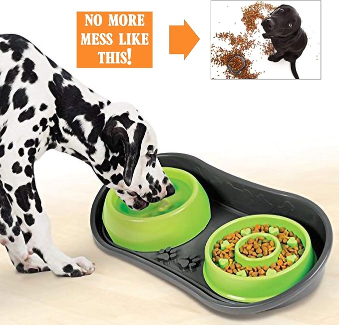Non-Skid Pet Bowl Tray - with 2 Slow Down Bowls Set - for Small to Medium Dogs - Protects Floor from Food and Water