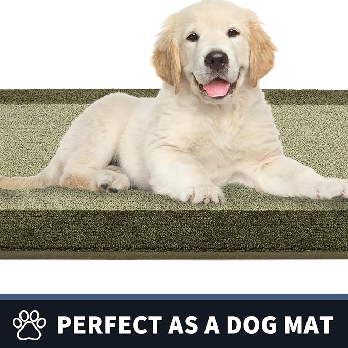 PURRUGS Dirt Trapping Door Mat 34" x 60", Non-Slip Washable Entry Mat, Dog Doormat, Front Door Mat, Super Absorbent Entrance Mat for Muddy Shoes & Paws, Budding Green & Sage Green