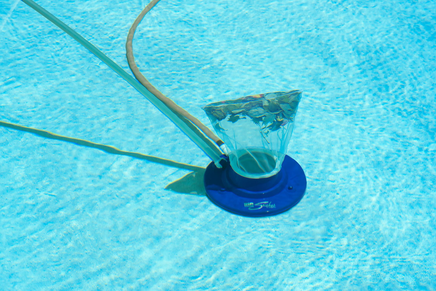 Poolmaster 28300 Big Sucker Manual Swimming Pool Leaf Vacuum Head, Blue