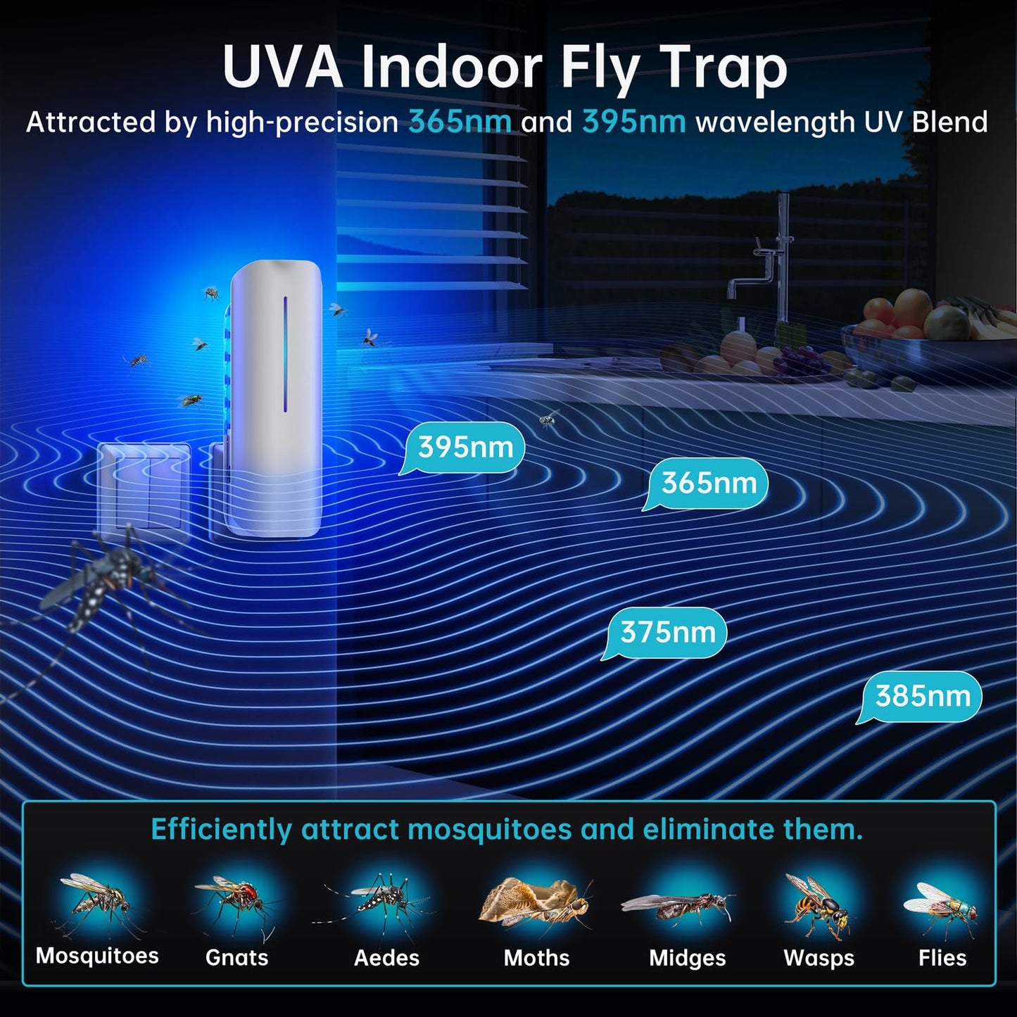 Fruit Fly Traps Indoor for Home: Plug in Mosquito Bug Zapper Gnat Moth Catcher with 9W Night UV Light, 2 Devices 20 Sticky Glue Board Refills for Indoors Flying Insect Trap
