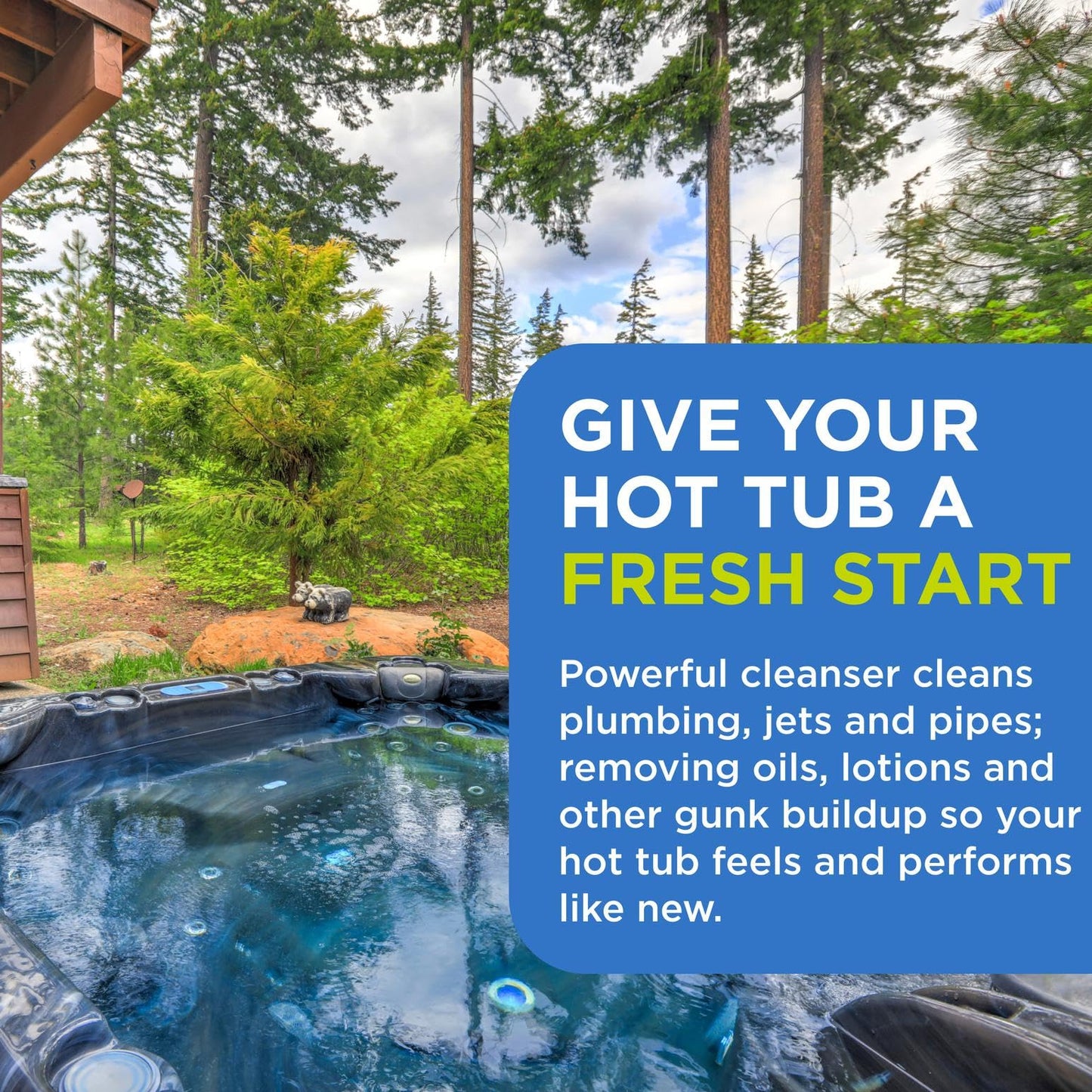 FROG Pipe & Jet Cleanser for Hot Tubs - Single Dose Deep Clean Purge Cleaner Packets for Clear Water - Prefilled for Hot Tubs to 600 Gallons - 2 Pack