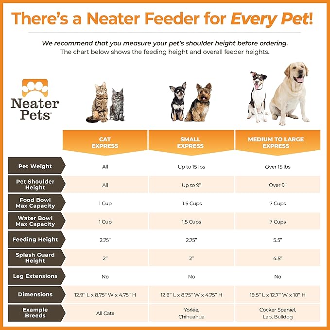 Neater Feeder Express Mess Proof Cat Bowls Elevated, No Spill Feeding Station, Stainless Steel Dishes for Food and Water, Raised Bowls for Indoor Cats, No Fatigue Whisker Friendly Dish, Grey