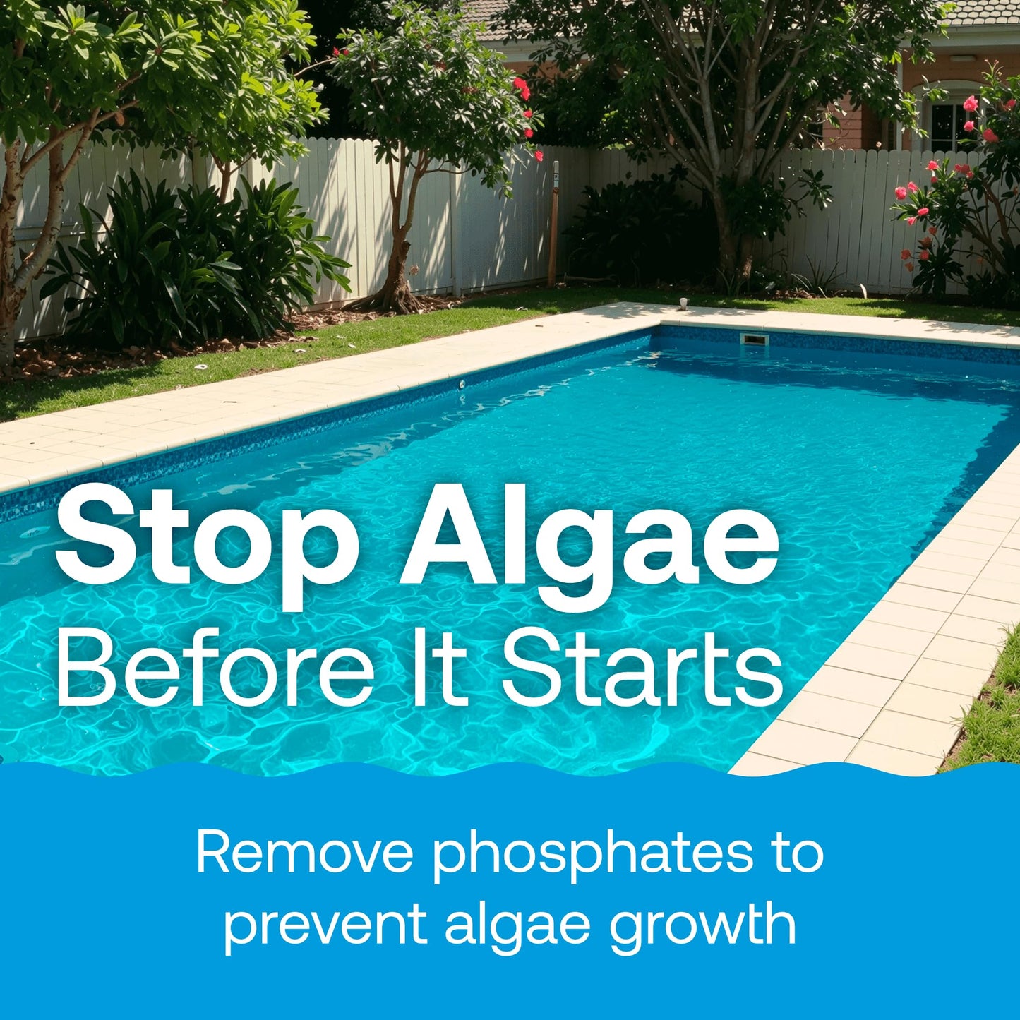 HTH 87322 Phosphate Remover Swimming Pool Chemical, 1 qt