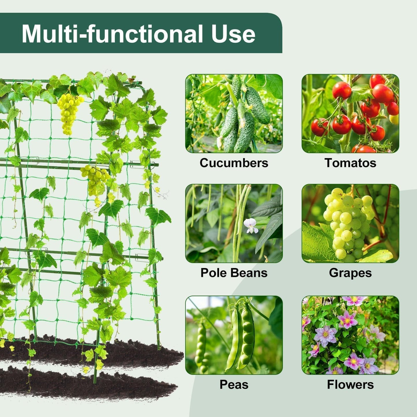 FOLLOOK Garden Cucumber Trellis for Climbing Plants Outdoor, 48x48inch U-Shape Arch Trellis for Garden Raised Bed, Plant Support for Grape Vine Tomato Vegetable Pea Bean, Green