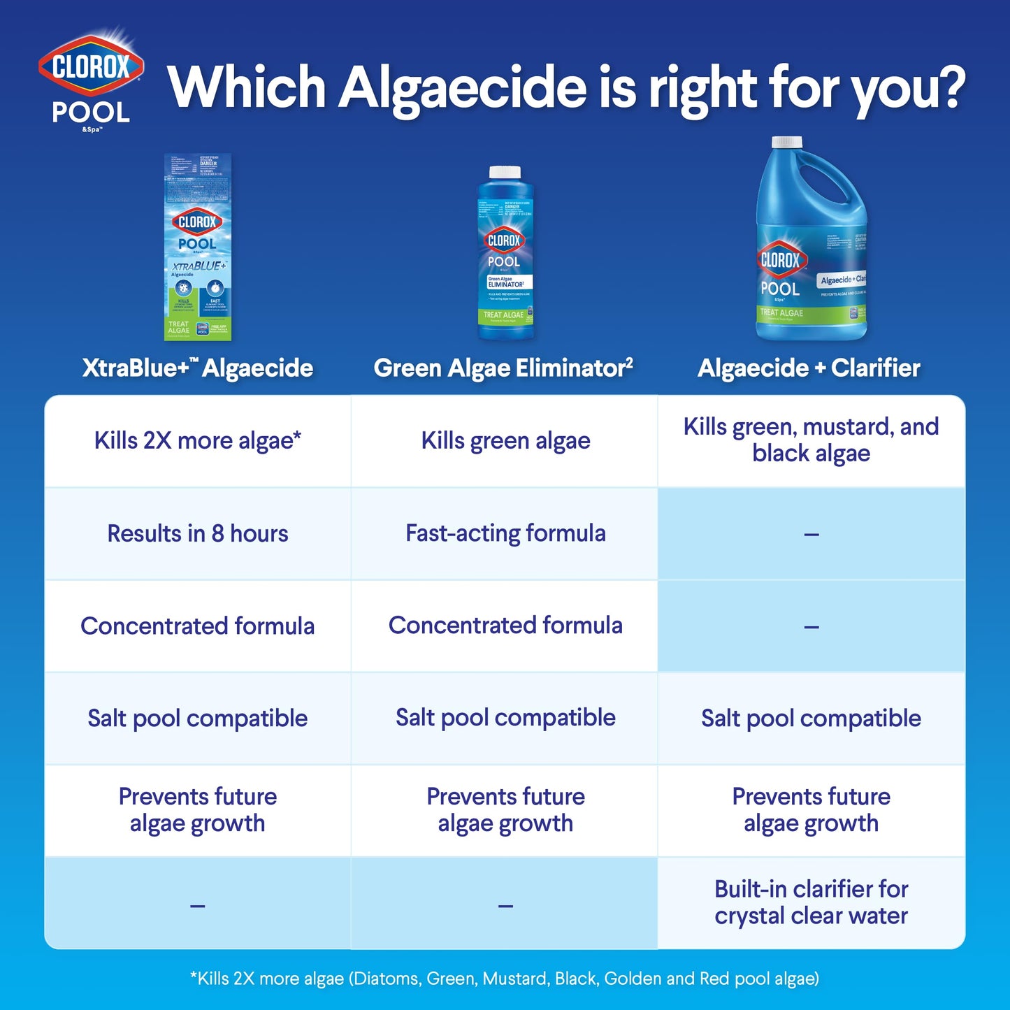Clorox® Pool&Spa™ XTRABLUE® Plus Swimming Pool Algaecide, All-in-One Algae Killer, Non-Foaming, 40 Ounce (Pack of 1)