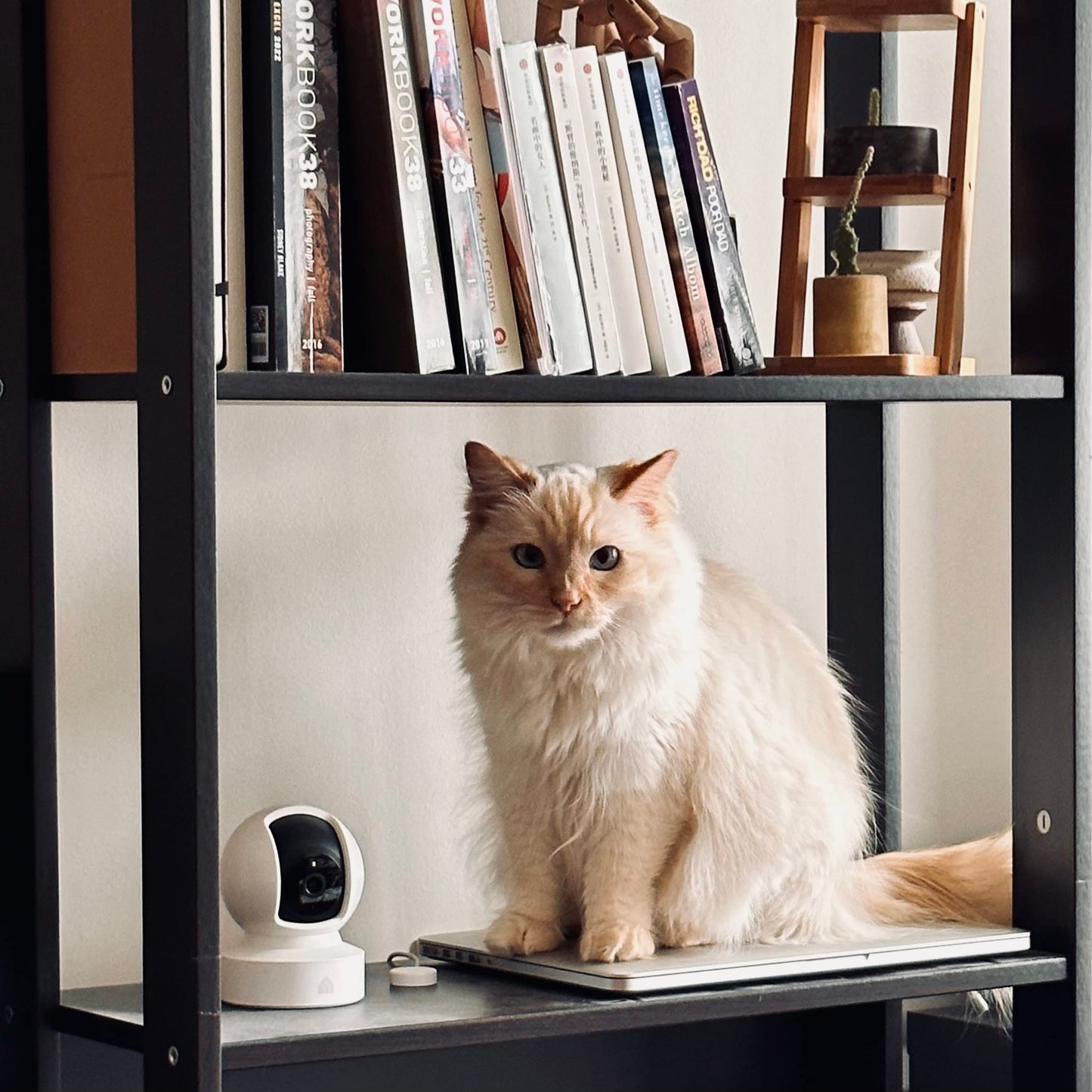 Kasa 1080p Indoor Pan/Tilt Wired Security Camera - Works as a Baby & Pet Monitor, Motion Detection & Tracking, 2-Way Audio, Night Vision, Subscription-Free Local Storage or Optional Cloud, EC70