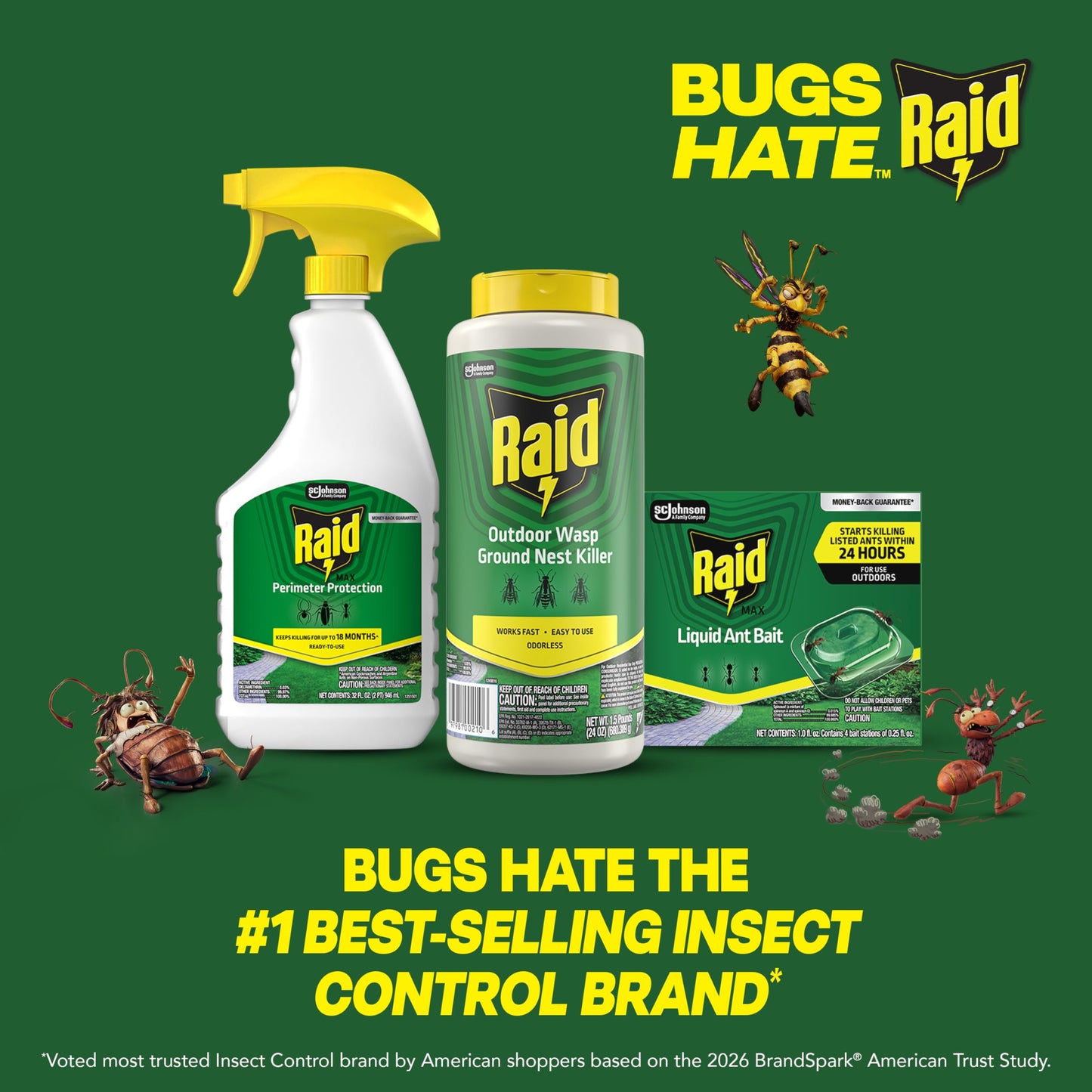 Raid Outdoor Wasp Ground Nest Killer, Dust Insecticide for Outside Household Use on Wasps, Fast-Working, Easy-to-Use and Odorless, 24 oz