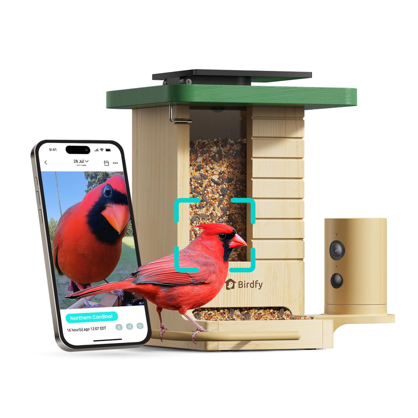 Birdfy Smart Bird Feeder with Camera Solar Powered, Slow-Motion Video & Night Insight, AI Identify 6000+ Species Lifetime Free, Ideal for Outdoors Bird Watching & Gifts for BirdLovers, Wood
