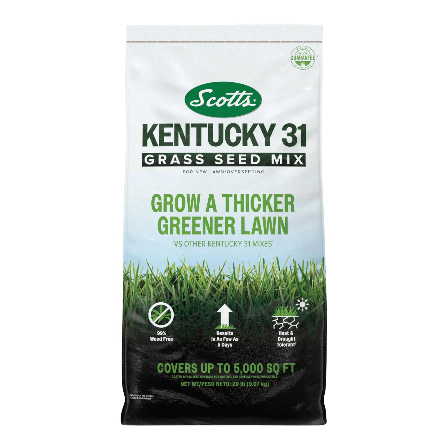Scotts Kentucky 31 Grass Seed Mix - Premium Lawn Grass Seed, Covers Up to 5,000 sq. ft., 20 lb
