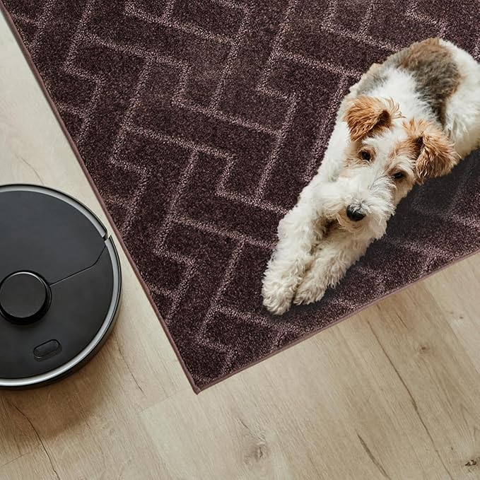 PURRUGS Easy Care Area Rug 4.5ft x 7ft, Non-Slip Machine Washable Entry Rug, Dog Door Mat, Stain Resistant Accent Rug for Hallway, Bedroom, Living Room and Mudroom, Brown