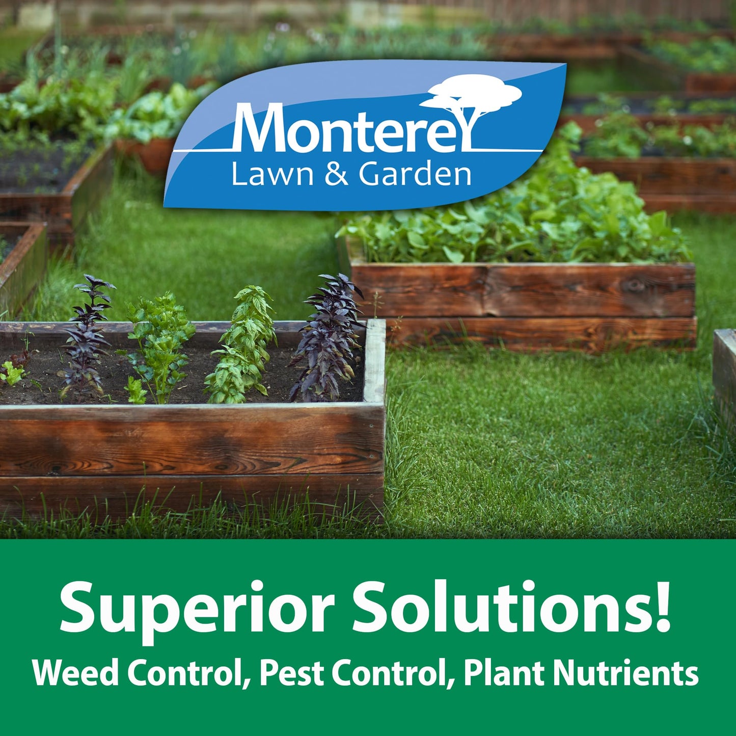 Monterey Thistledown Bundled with Measuring Spoon - Weed Killer Thistle and Clover Control Concentrate - 8 oz