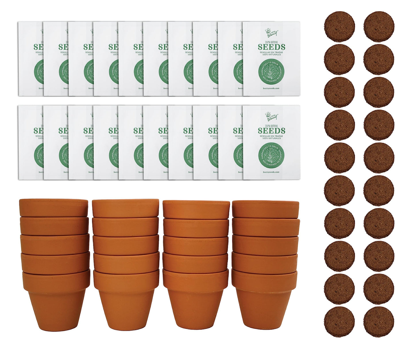 BUZZY Daisy Seeds & Genuine Terracotta 5cm Mini Pot Bulk Pack (20 Count), Includes 20 Each of pots, Soil pellets and Seeds - Great for Favors, Crafts, School Projects, Weddings, and Seed Starter Kits