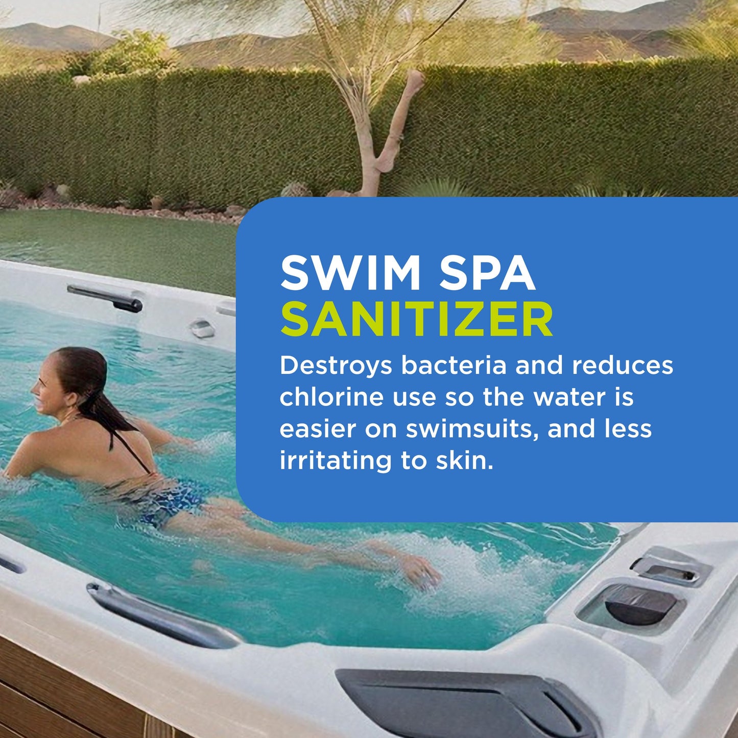 FROG @Ease Replacement SmartChlor Cartridge for use with Swim Spa FROG @Ease Floating System - Swim Spa Sanitizer System Supports Less Chlorine Use - 1 Pack