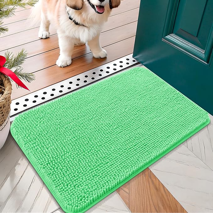 OLANLY Dog Door Mat for Muddy Paws 24x16, Absorbs Moisture and Dirt, Absorbent Non-Slip Washable Doormat, Quick Dry Chenille Mud Mat for Dogs, Entry Indoor Entryway Carpet for Inside Floor, Mint Green
