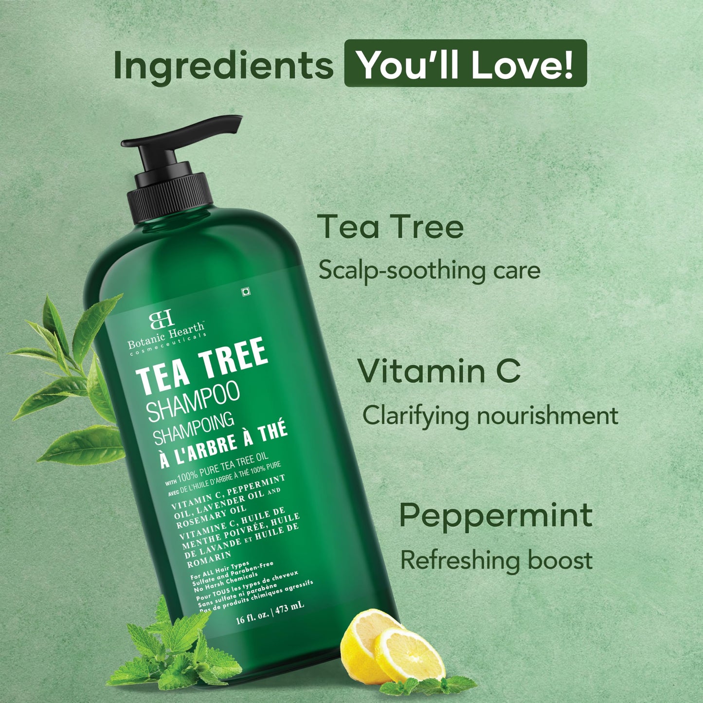 Botanic Hearth Tea Tree Shampoo, Vitamin C, Peppermint, Lavender and Rosemary Oil, Fights Dandruff and Dry Scalp, 16 fl oz