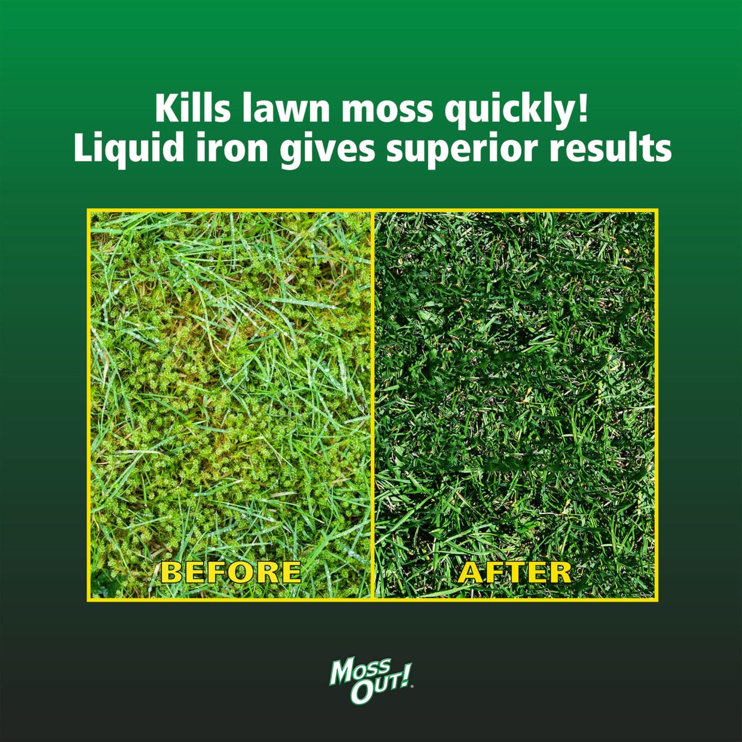 Lilly Miller Moss Out For Lawns Concentrate 1 Gallon- 10009156, Neutral