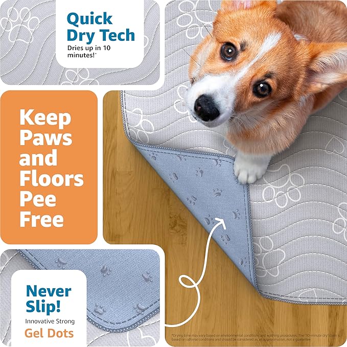 IMPROVIA® Reusable Puppy Pad – Waterproof, Extra-Absorbent, Washable Pee Pad for Dog Training, Whelping, & More – Protect Your Floors & Pet with Quick-Drying Potty Pad (Paws & Hearts, Small 18"x24")